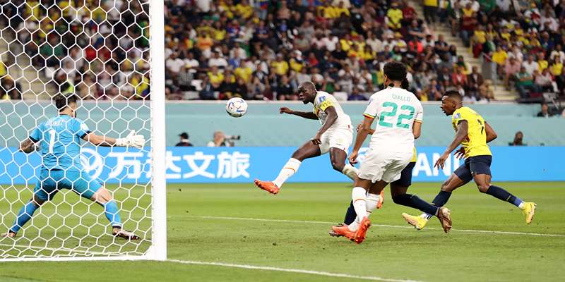 Thông tin trận đấu Ecuador vs Senegal